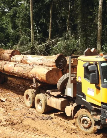 Logging transport: a highly demanding activity | Renault Trucks